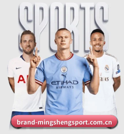 明升体育在线 APP 界面